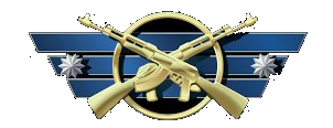 rank_badge